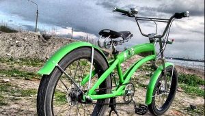Fendere til en cykel 29 tommer: hvad er og hvordan man vælger?