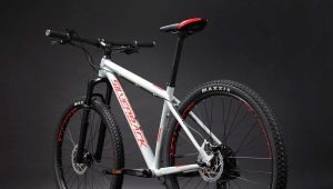 Silverback cykler: fordele og ulemper, sorter, valg