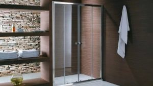 Стъклени врати за душ: характеристики, размери и дизайн