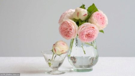 What to do so that roses stand in a vase for a long time?