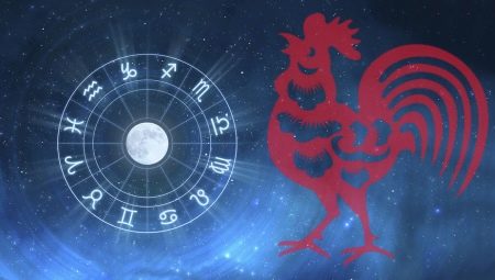 Sagittarius male born in the year of the Rooster: characteristics and compatibility