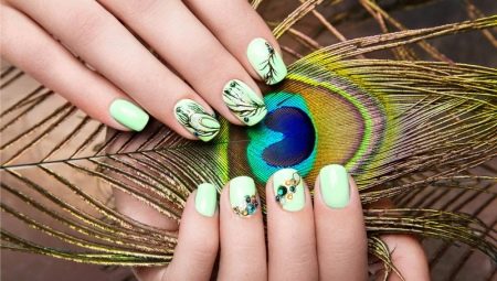 Manicure met vogels: ontwerpvoorbeelden en modetrends