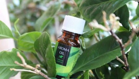 Olejek z drzewa herbacianego do twarzy: korzyści, szkody i subtelności użytkowania