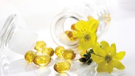 Evening primrose oil: healing properties, contraindications and instructions for use