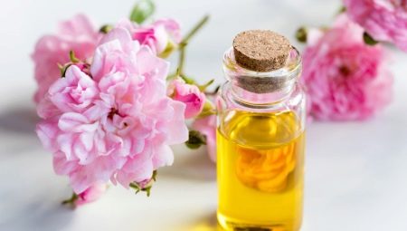 Camellia olje: funksjoner og anbefalinger for bruk
