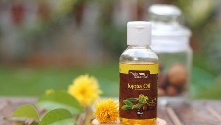 Jojobový olej: vlastnosti a odporúčania na používanie