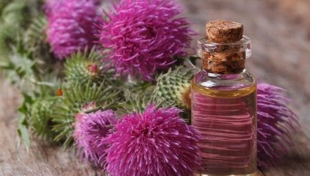 Properties and application of burdock oil