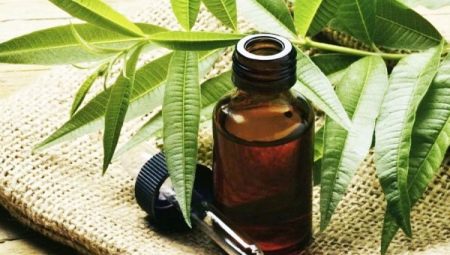 Propriétés et recommandations pour l'utilisation de l'huile d'arbre à thé de mycose des ongles