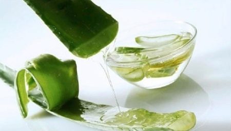 Aloe vera olaj: tulajdonságok és alkalmazások