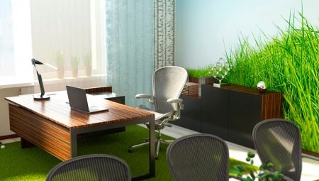 What should be the workplace of Feng Shui?