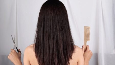 Cua de col de guineu de cabell llarg