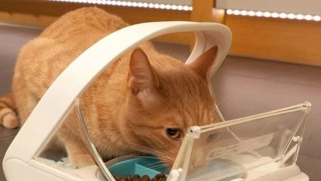 Alimentadores automáticos de gatos: tipos, reglas de selección y fabricación