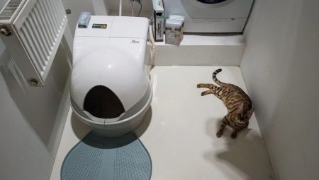 Toalete automate pentru pisici: caracteristici, selecție și evaluare a modelelor