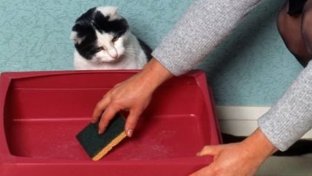วิธีที่ดีที่สุดในการล้างถาดแมวคืออะไรเพื่อให้ไม่มีกลิ่น
