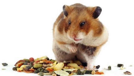 Que mangent les hamsters?