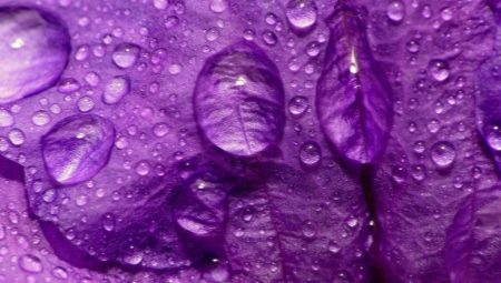 Apa makna ungu dalam psikologi?