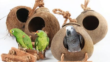 Σπίτι και φωλιά για παπαγάλοι: χαρακτηριστικά επιλογής, απαιτήσεις, κανόνες κατασκευής