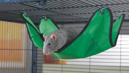 Hammock za štakore: kako odabrati, napraviti to sami i dogovoriti?