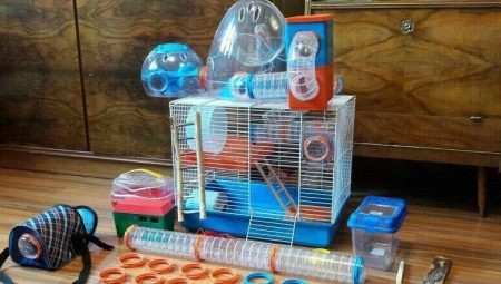 Toys for hamsters: selection and manufacture