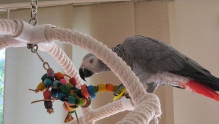 DIY papagáj játékok