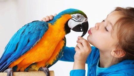 Mená chlapčenských papagájov