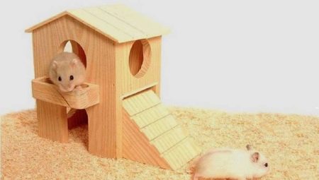 Cum și din ce să faci o casă pentru un hamster cu propriile mâini?