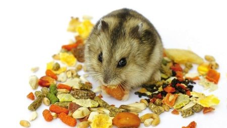 How to choose food for hamsters?