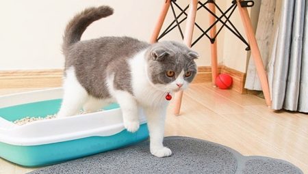 כיצד לבחור שטיחון לשירותים לחתולים?