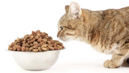 อาหารสำหรับแมวที่ทำหมันและแมวที่ทำหมัน