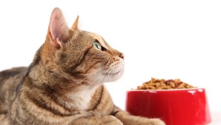 Holistisch voer voor katten: producentenbeoordelingen en selectieregels