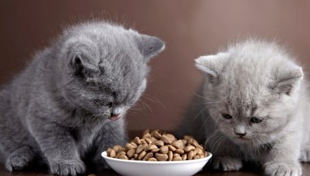Thức ăn cho mèo con khô cao cấp
