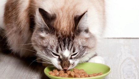 Superpræmie våd kattefoder: sammensætning, mærker, valg