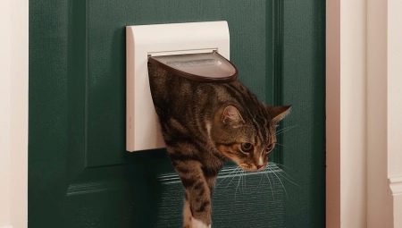 Wählen Sie eine Tür zur Toilette für eine Katze