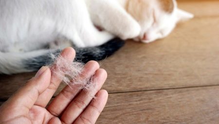 Como se livrar dos pêlos de gato?