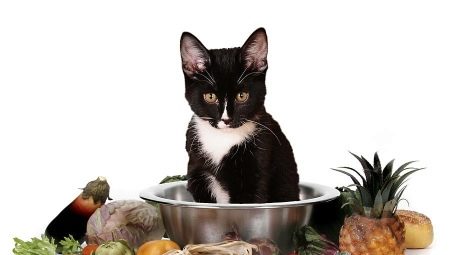 Wie wählt man vegetarisches und veganes Katzenfutter?
