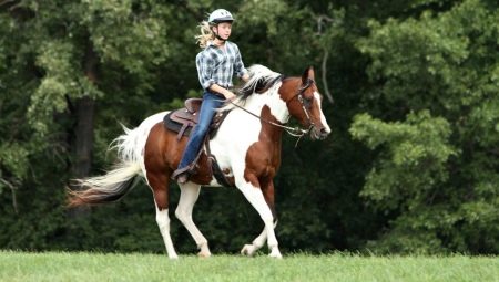 Jazda na koni: výhody, nevýhody a základné odporúčania