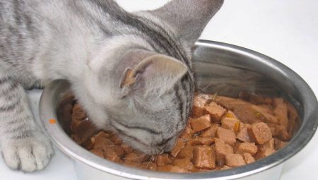 Menjar per a sacs de gats: de què es fan i quant a donar al dia?