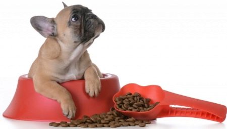 Mat för den franska bulldoggen: vad är och hur man väljer?