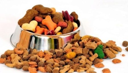 Menjar per a gossos súper premium: característiques, visió general, selecció, normes d’alimentació