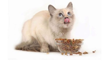 Holostica ให้อาหารสำหรับแมวที่ผ่านการฆ่าเชื้อ