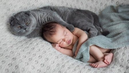 Bebé recién nacido y gato en el apartamento