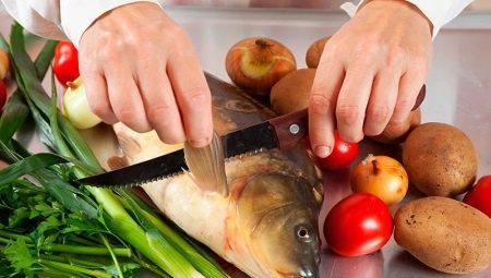 Veitset kalanpuhdistukseen: tyypit, valmistajien yleiskuvaus, valinta ja käyttö