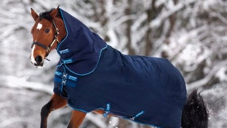 Konjske deke za konja: funkcije i sorte