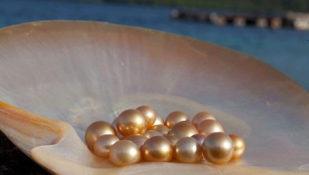 Perle fluviali: caratteristiche, proprietà e differenze rispetto alla marina