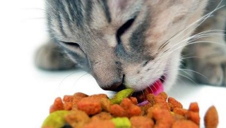 Ocena karmy dla kotów