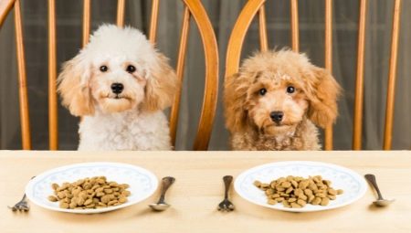 อาหารสุนัขแห้ง: ชั้นเรียนเกณฑ์การคัดเลือกและกฎการให้อาหาร