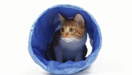 Đường hầm (đường hầm) cho mèo: loại và tiêu chí lựa chọn