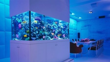 Akvarier i det indre: typer, valg og installationsanbefalinger