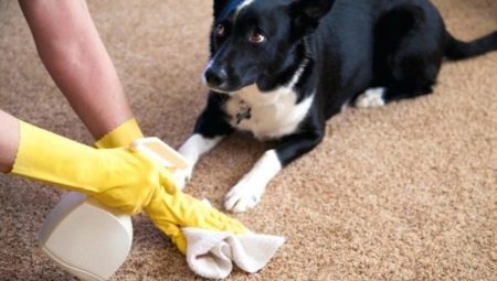 Antigadín pre psy: druhy výrobkov a pravidlá výberu