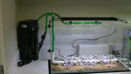 Biofilter Aquarium: ciri, jenis dan aplikasi